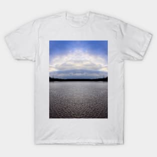 River Avon Flood T-Shirt